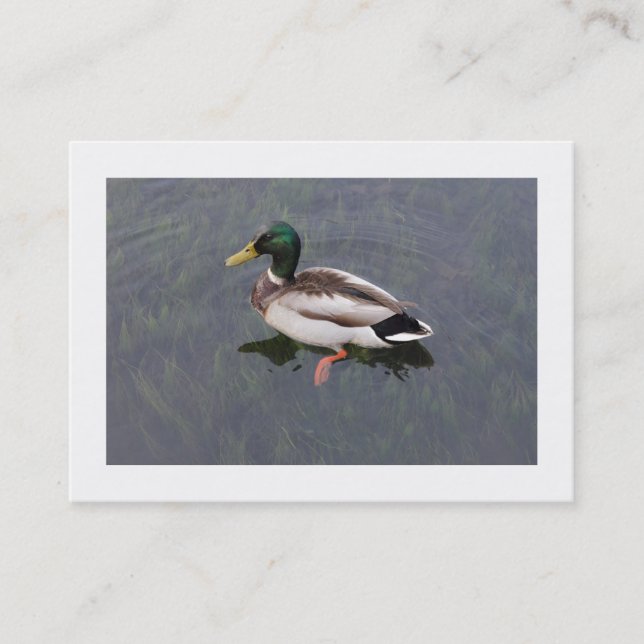 Carte De Visite Canard à colle (Bordé) (Devant)