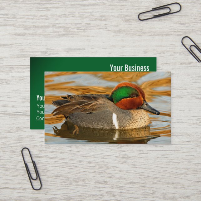 Carte De Visite Canard sarcelle à ailes vertes élégant sur l'étang (Devant/Arrière en situation)