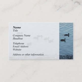 Carte De Visite Canards