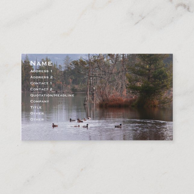 Carte De Visite Canards sur le lac empire (Devant)