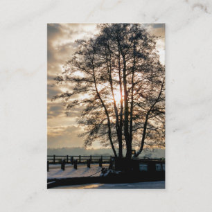 CARTE DE VISITE CANAUX