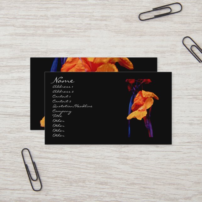 Carte De Visite Canna Lys sur noir avec bleu (Devant/Arrière en situation)