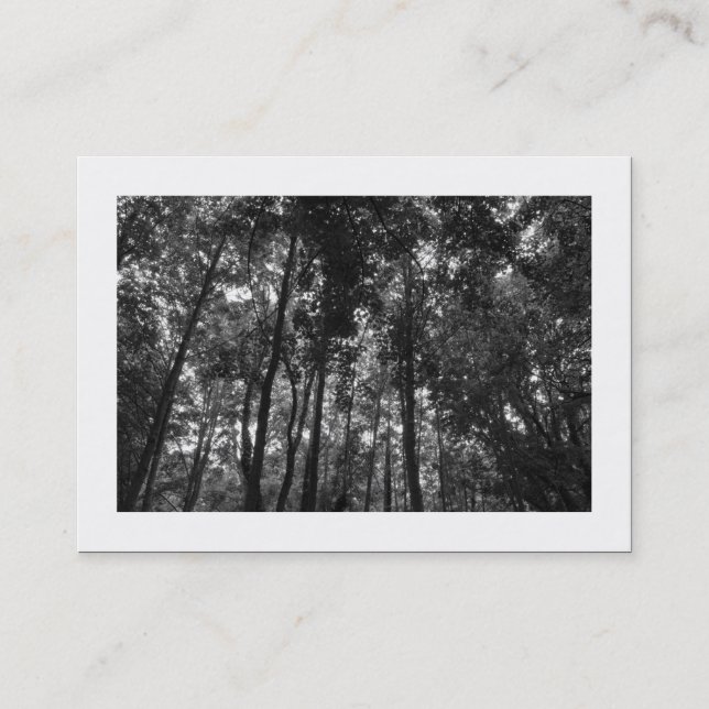 Carte De Visite Canopée de forêt 02 NB (Bordé) (Devant)