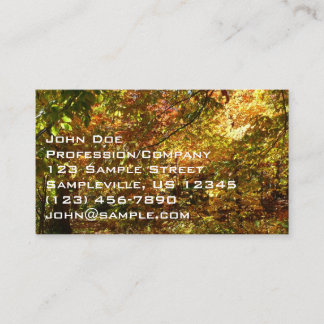 Carte De Visite Canopée des Feuilles d'automne II Photographie d'a