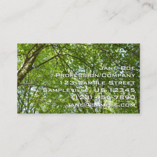 Carte De Visite Canopée du printemps Feuille Green Nature Scene