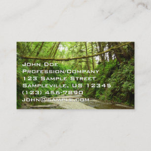 Carte De Visite Canyon Fern I au Parc national de Redwood