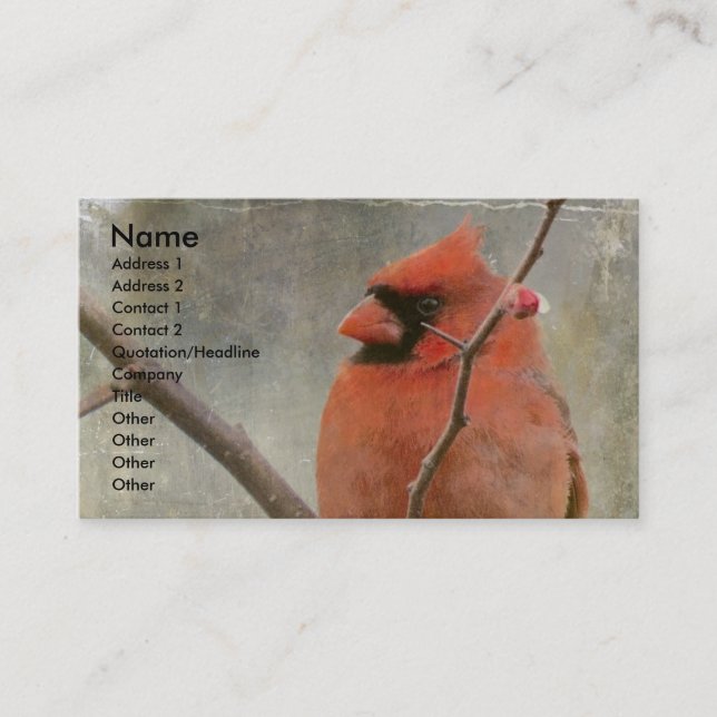 Carte De Visite Cardinal Grunge (Devant)