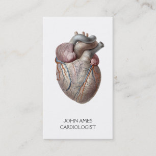 Carte De Visite Cardiologie Médicale du coeur anatomique
