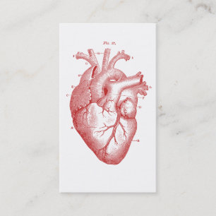 Carte De Visite Cardiologie Médicale du coeur anatomique