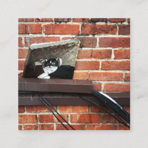 Carte De Visite Carré alley cat art