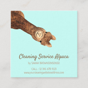 Carte De Visite Carré Alpaca turquoise