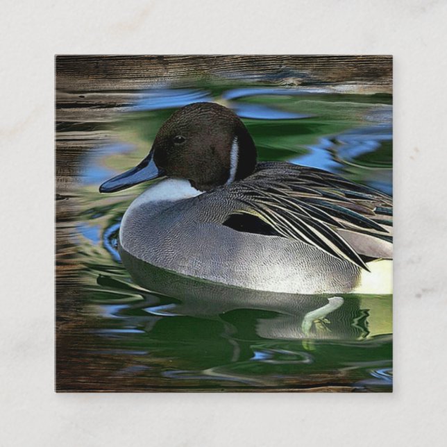 Carte De Visite Carré Canard Sur Le Lac (Devant)