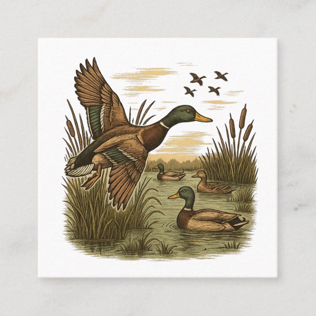 Carte De Visite Carré Chasse-Rétro-Volant-Colvert (Devant)