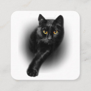 Carte De Visite Carré Chat noir Yellow Eyes T-shirt Chats Tee