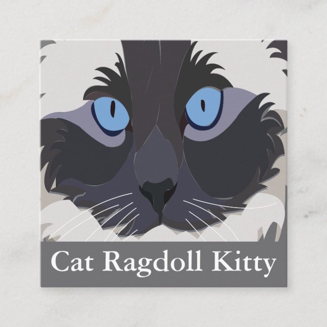 Carte De Visite Carré Chat Ragdoll Yeux Bleus  (Devant)