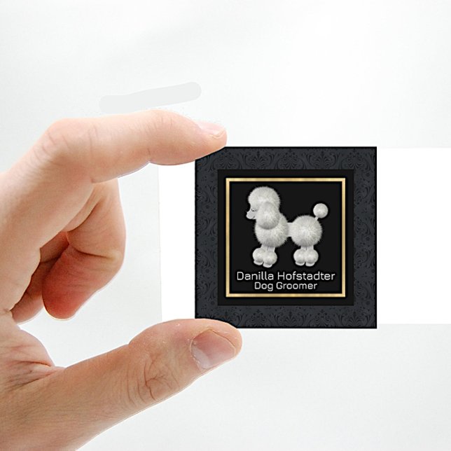 Carte De Visite Carré Chic Damask Chig Groomer (Créateur téléchargé)