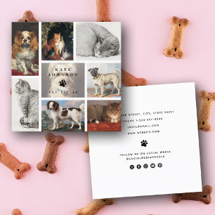Carte De Visite Carré Chien Chat Animaux 8 Photo Animaux de compagnie Gr