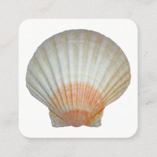 Carte De Visite Carré Clam Shell