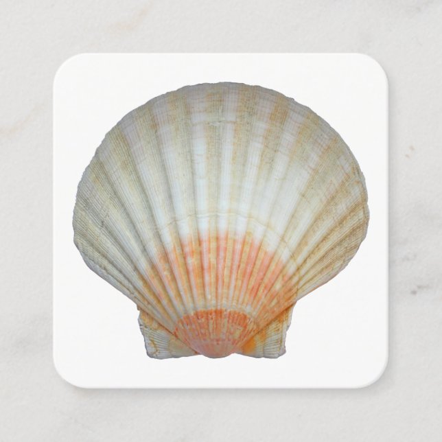 Carte De Visite Carré Clam Shell (Devant)