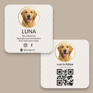Carte De Visite Carré  Code QR de médias sociaux Chien doré Photo élégan