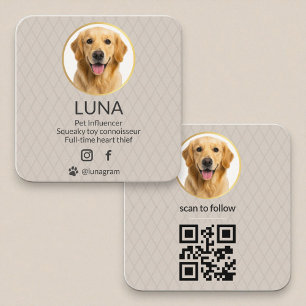 Carte De Visite Carré Code QR Or Influencer de Toilettage pour Animaux d
