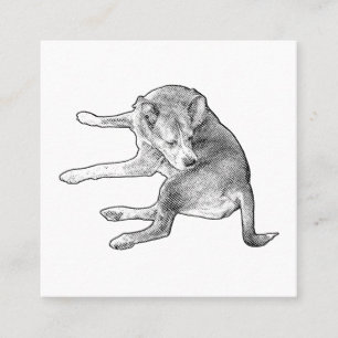 Carte De Visite Carré Contact Puppy Sympathique
