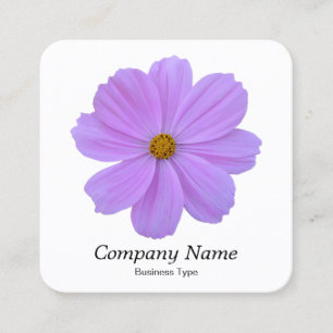 Carte De Visite Carré Cosmos Pourpre - Blanc