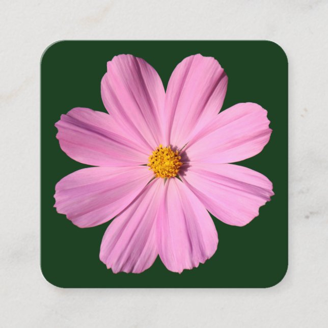 Carte De Visite Carré Cosmos rose - Vert foncé (Devant)
