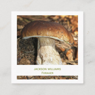 Carte De Visite Carré Cueilleur de champignons sauvages et de nourriture