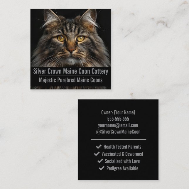 Carte De Visite Carré Custom Maine Coon Cattery Business Card  (Devant / Derrière)