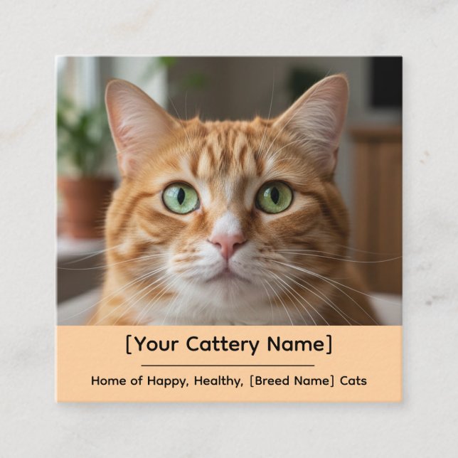 Carte De Visite Carré Customizable Cattery Business Card with Cat Photo  (Devant)