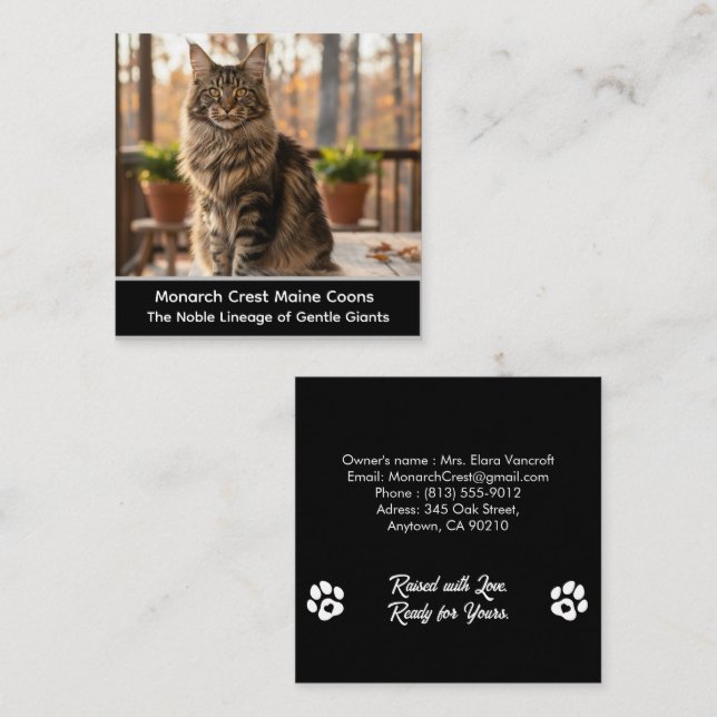 Carte De Visite Carré Customizable  Maine Coon Cat Cattery Business Card (Devant / Derrière)