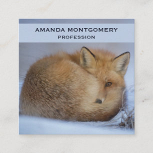 Carte De Visite Carré Cute Little Fox Curling Up Winter Photo