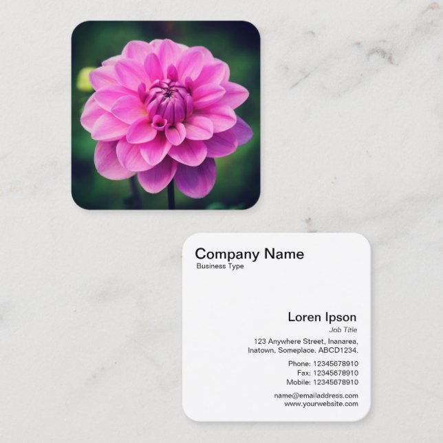 Carte De Visite Carré Dahlia rose (Devant / Derrière)