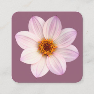 Carte De Visite Carré Dahlia rose sur #945E76
