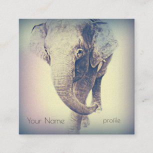 Carte De Visite Carré Éléphant d'Asie aux couleurs vintage