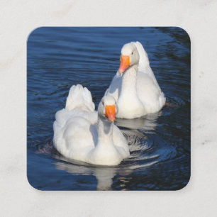 Carte De Visite Carré Emden Geese