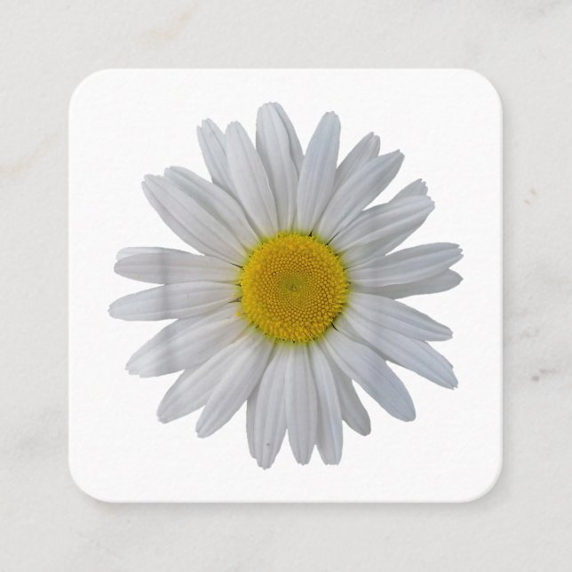 Carte De Visite Carré Fleur marguerite blanche, marguerite florissante,  (Devant)
