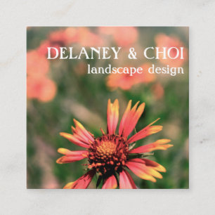 Carte De Visite Carré Fleur sauvage de jardin de la photo Pink Daisy