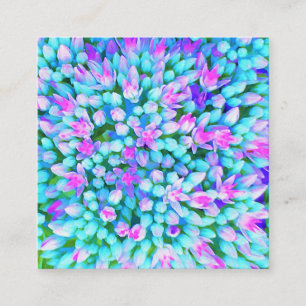 Carte De Visite Carré Fleurs de Sedum Succulent Bleu et Rose Chaud Détai