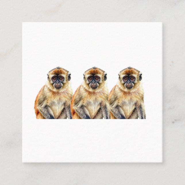 Carte De Visite Carré Gibbon (Devant)