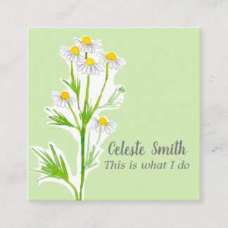 Carte De Visite Carré Herbe Plante de la camomille Illustration verte