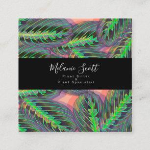 Carte De Visite Carré Illustration du Plante Maranta Prayer Calathea