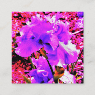 Carte De Visite Carré Iris violet Abstrait Ultra violet sur rouge