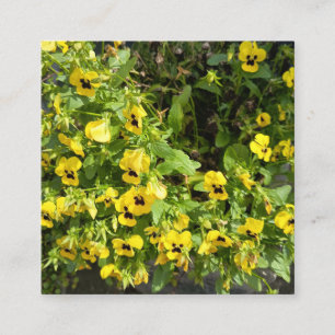 Carte De Visite Carré Jardin de fleurs sauvages jaunes Photographie de n