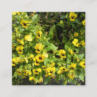 Carte De Visite Carré Jardin de fleurs sauvages jaunes Photographie de n