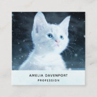 Joli petit chaton blanc aux beaux yeux bleus