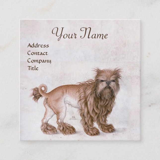 Carte De Visite Carré LE CHIEN / Affenpinscher/ Vétérinaire, Vétérinaire (Devant)