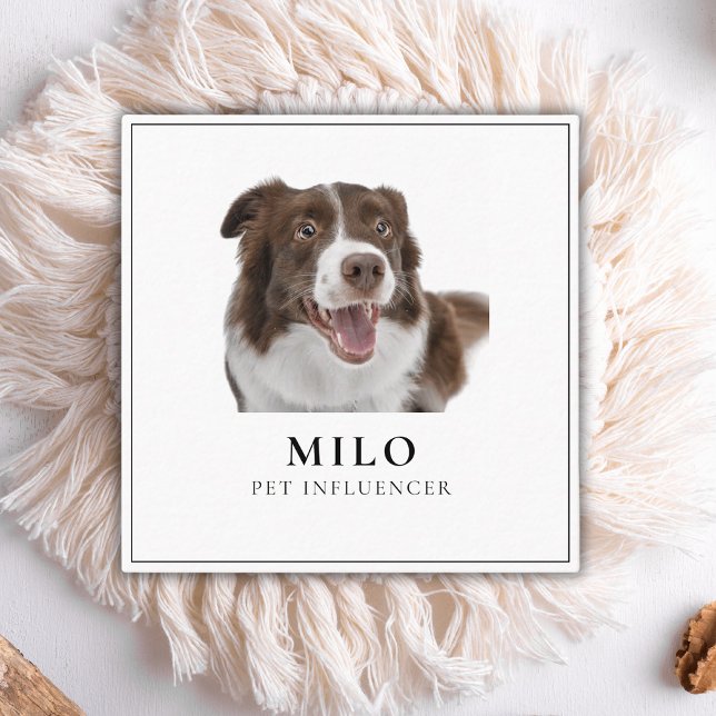 Carte De Visite Carré Moderne Élégant Photo Dog Pet Social Media Code QR (Créateur téléchargé)