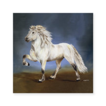 Nobilité Cheval islandais